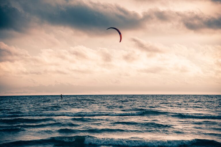 Understanding the Role of Nutrition in Cricket Recovery