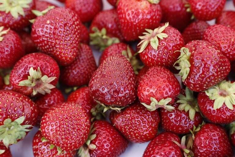 The Impact of Over-the-Counter Medications on Health